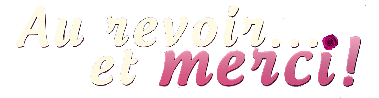 Au revoir... Et Merci !