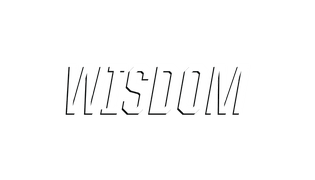 wisdom-5.png