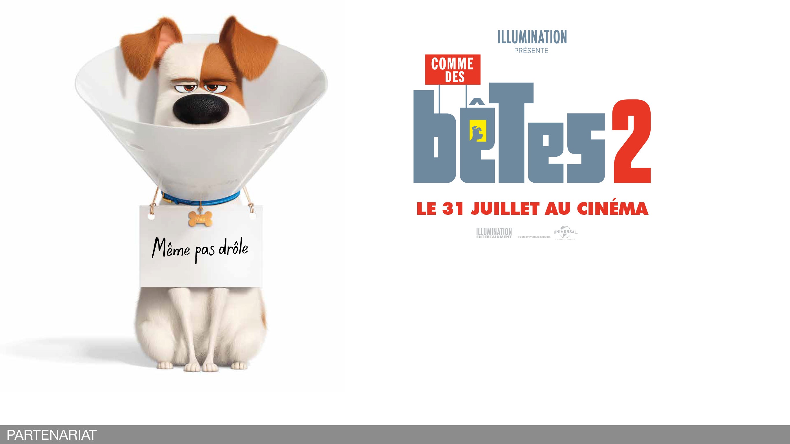 Comme des bêtes 2 - en salles le 31 juillet 