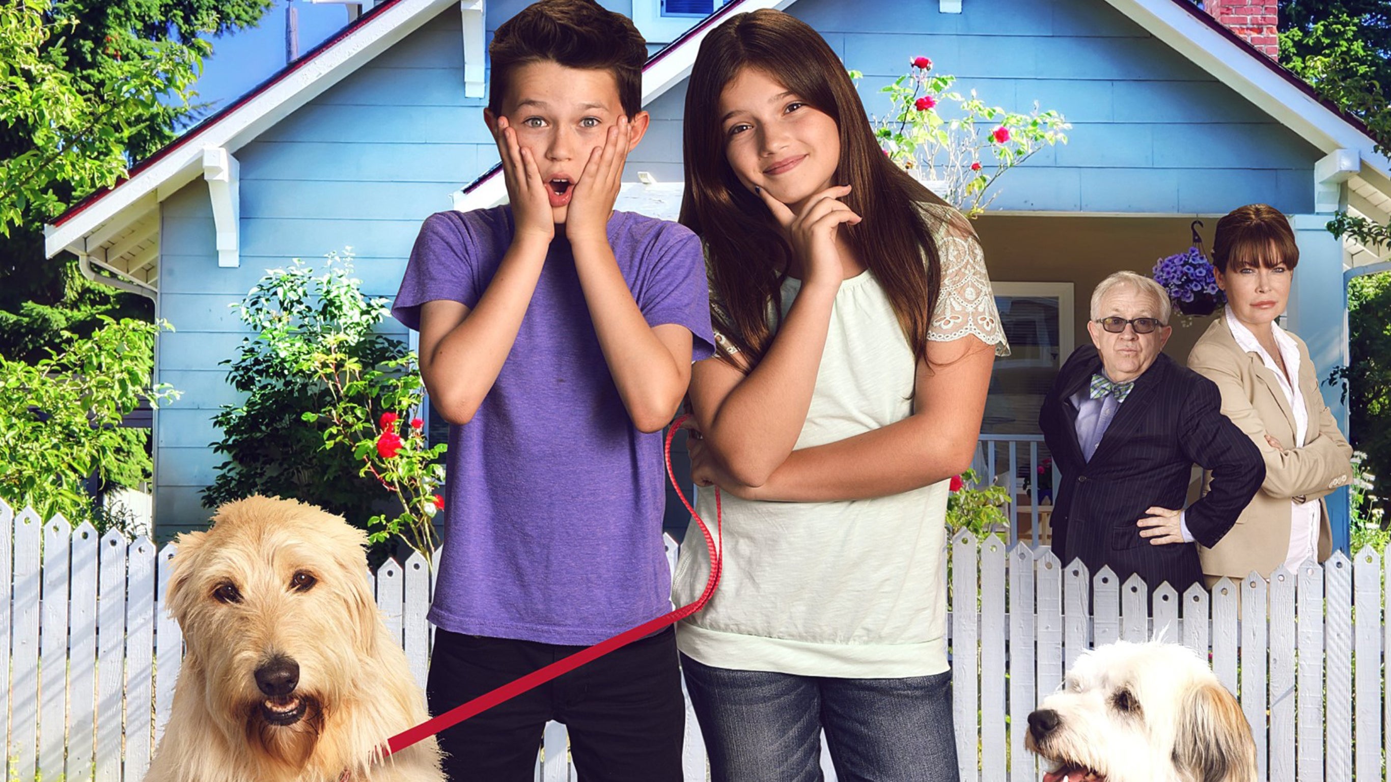 Un chien très chanceux