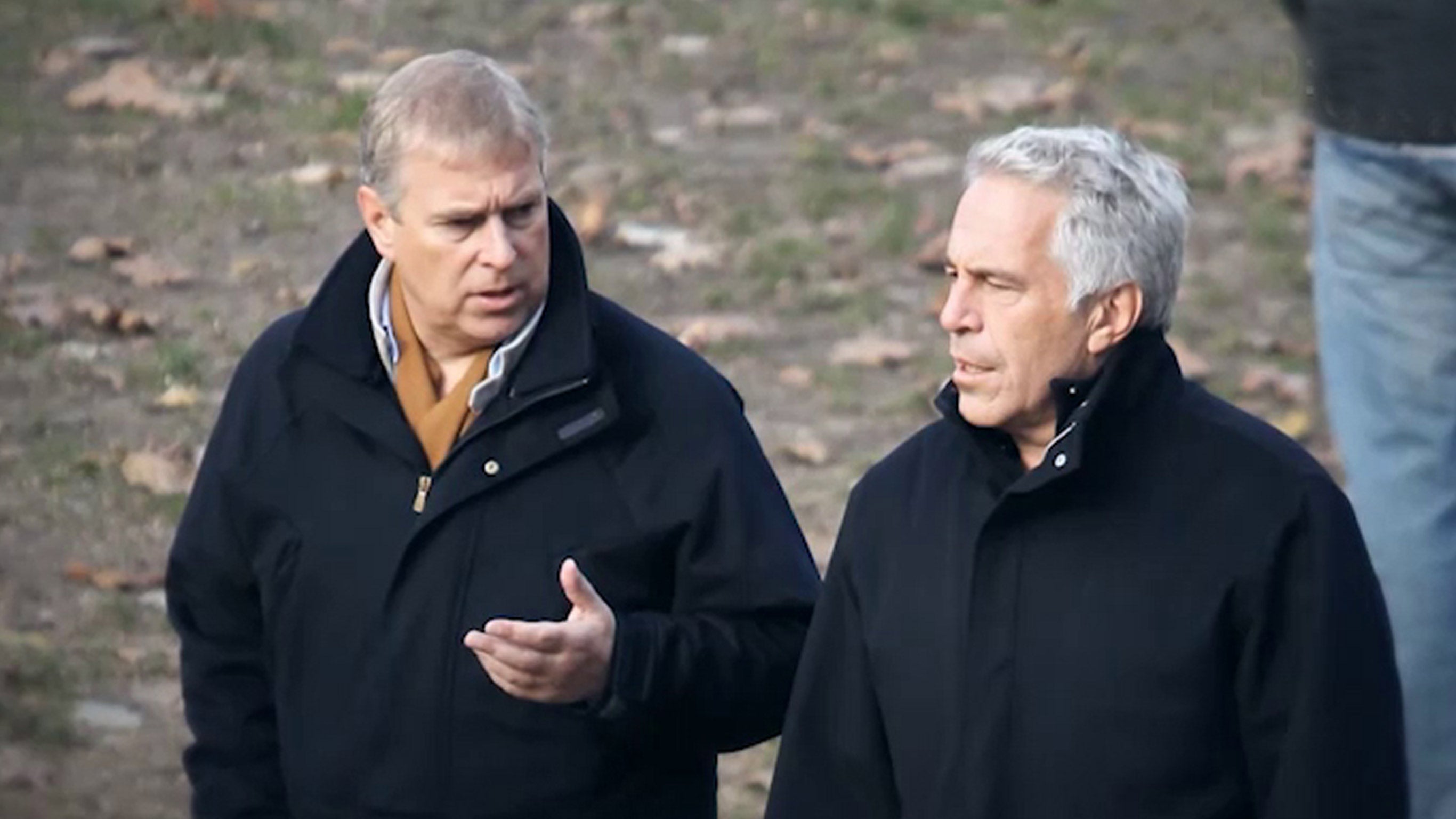 Scandale Epstein : le prince et le milliardaire