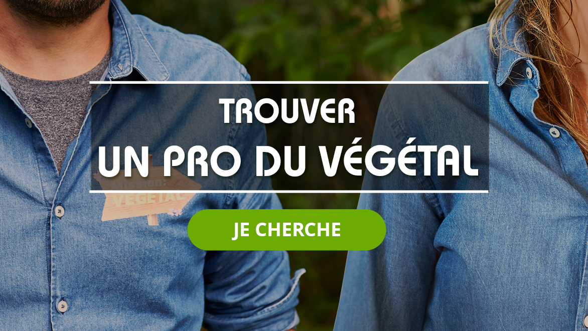 ProgramLink - vignette - 4623