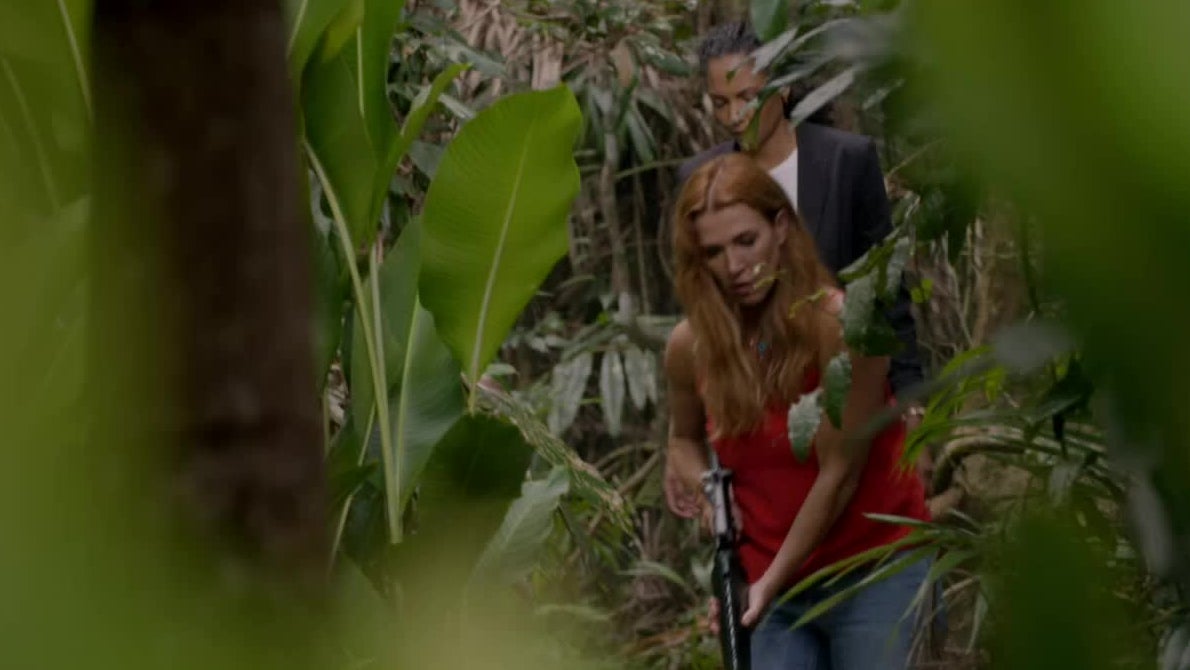 S1 E4 - Bienvenue dans la jungle