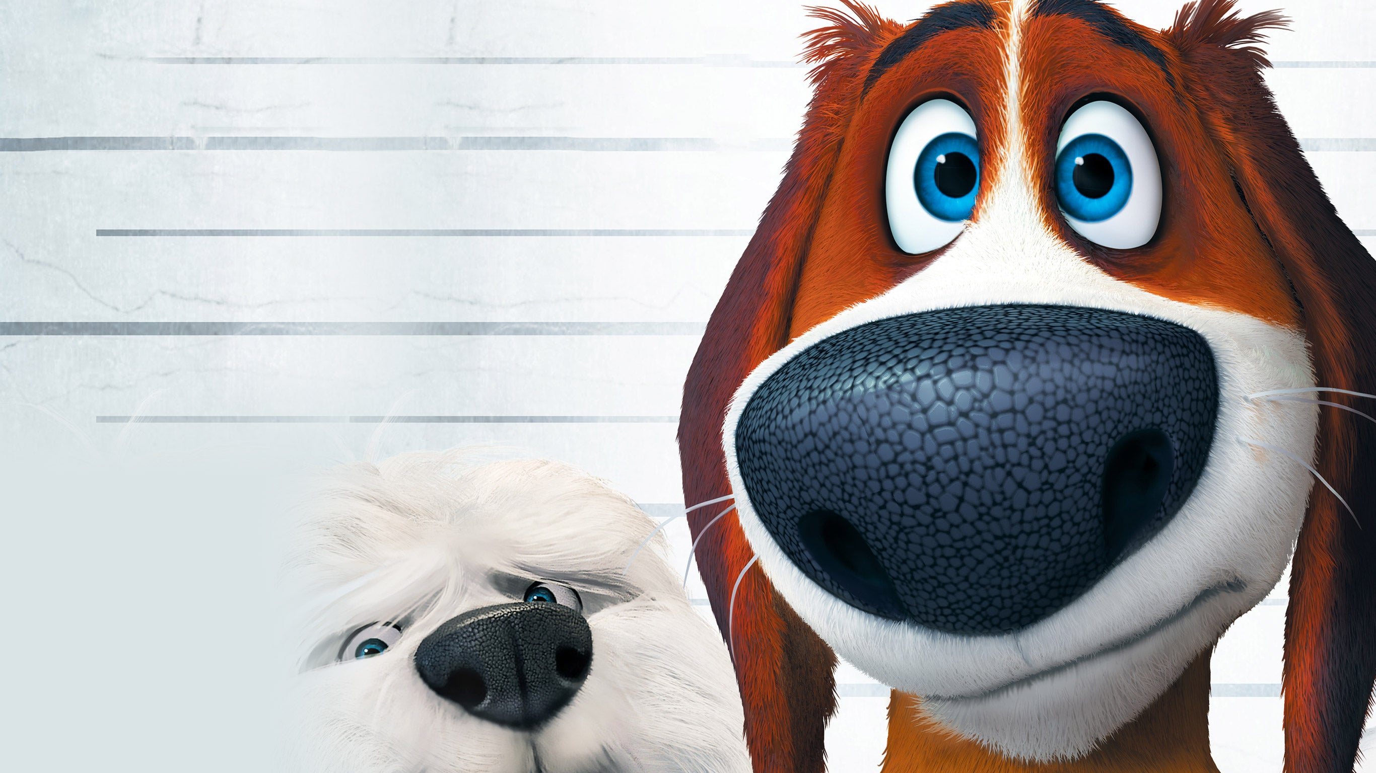 Ozzy, la grande évasion