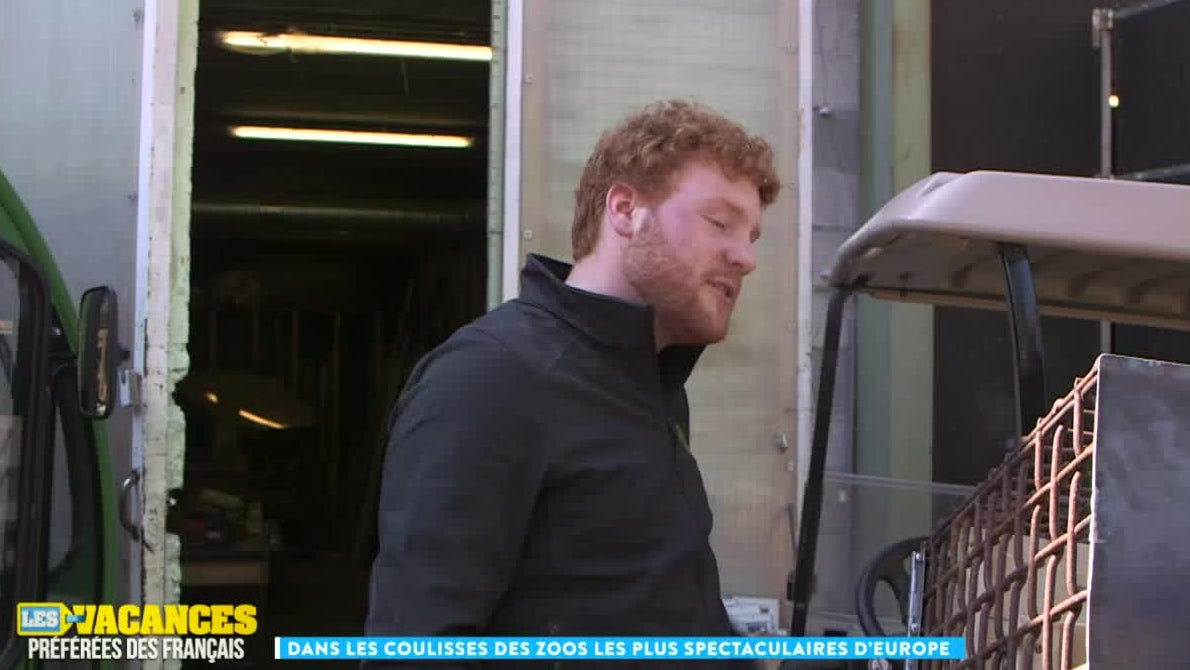 Dans les coulisses des zoos les plus spectaculaires d'Europe