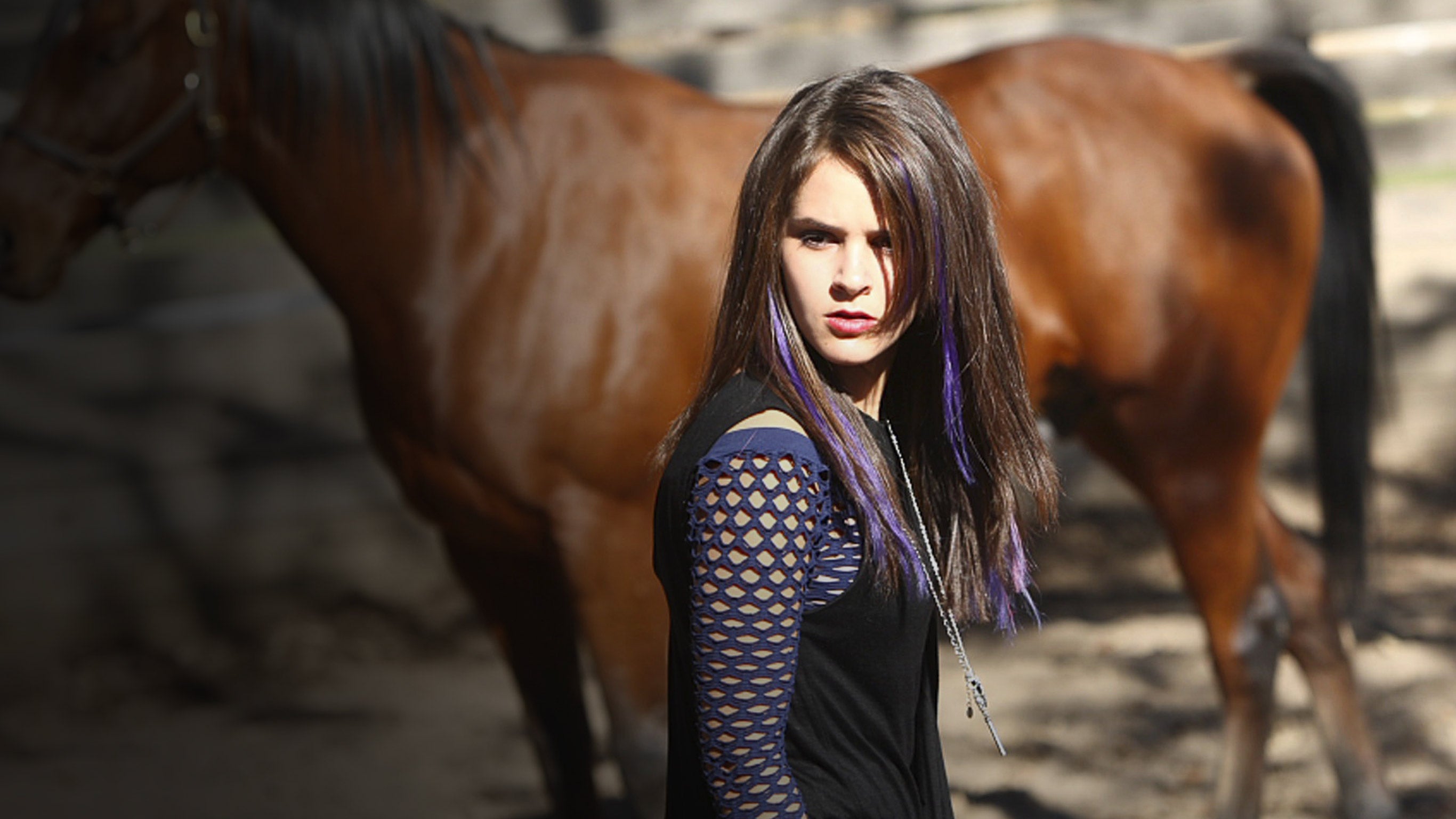 Un regard sur le passé