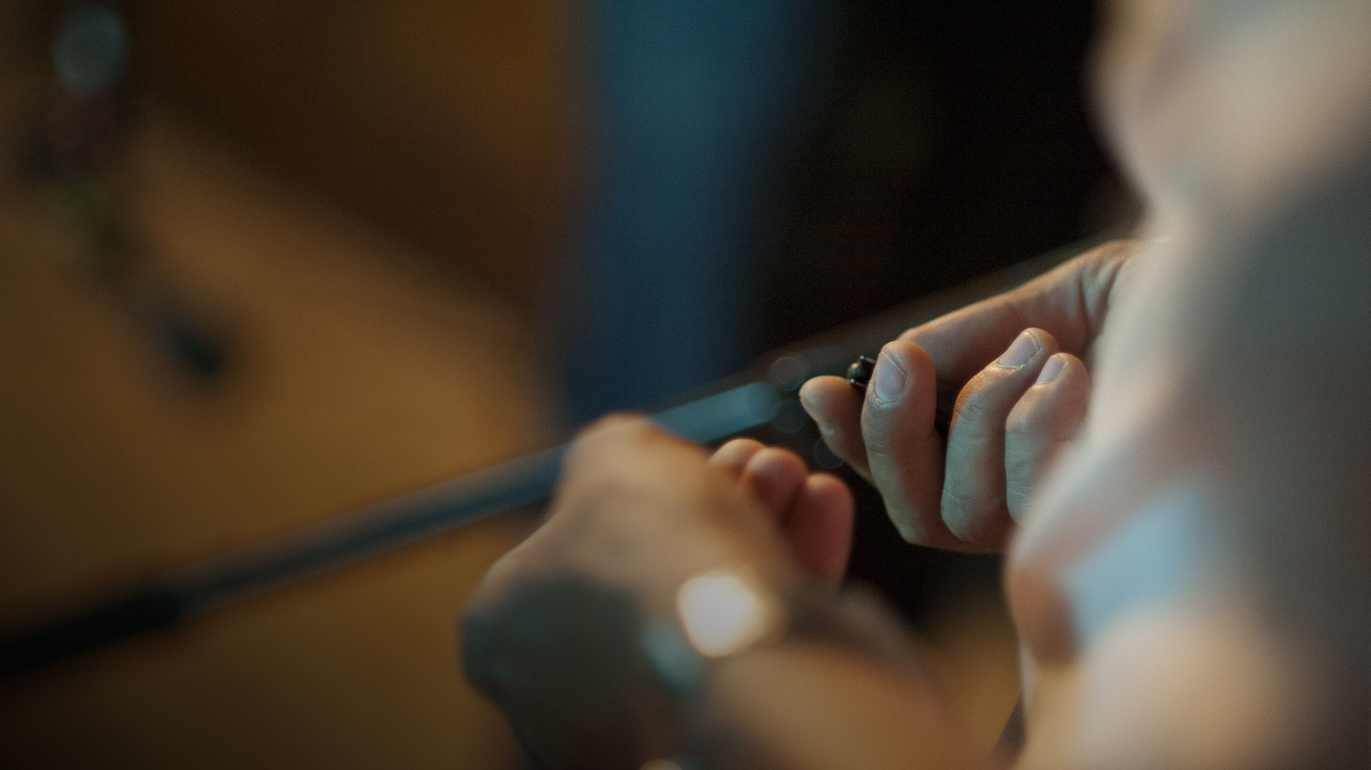 Affaire Xavier Dupont de Ligonnès : une famille assassinée