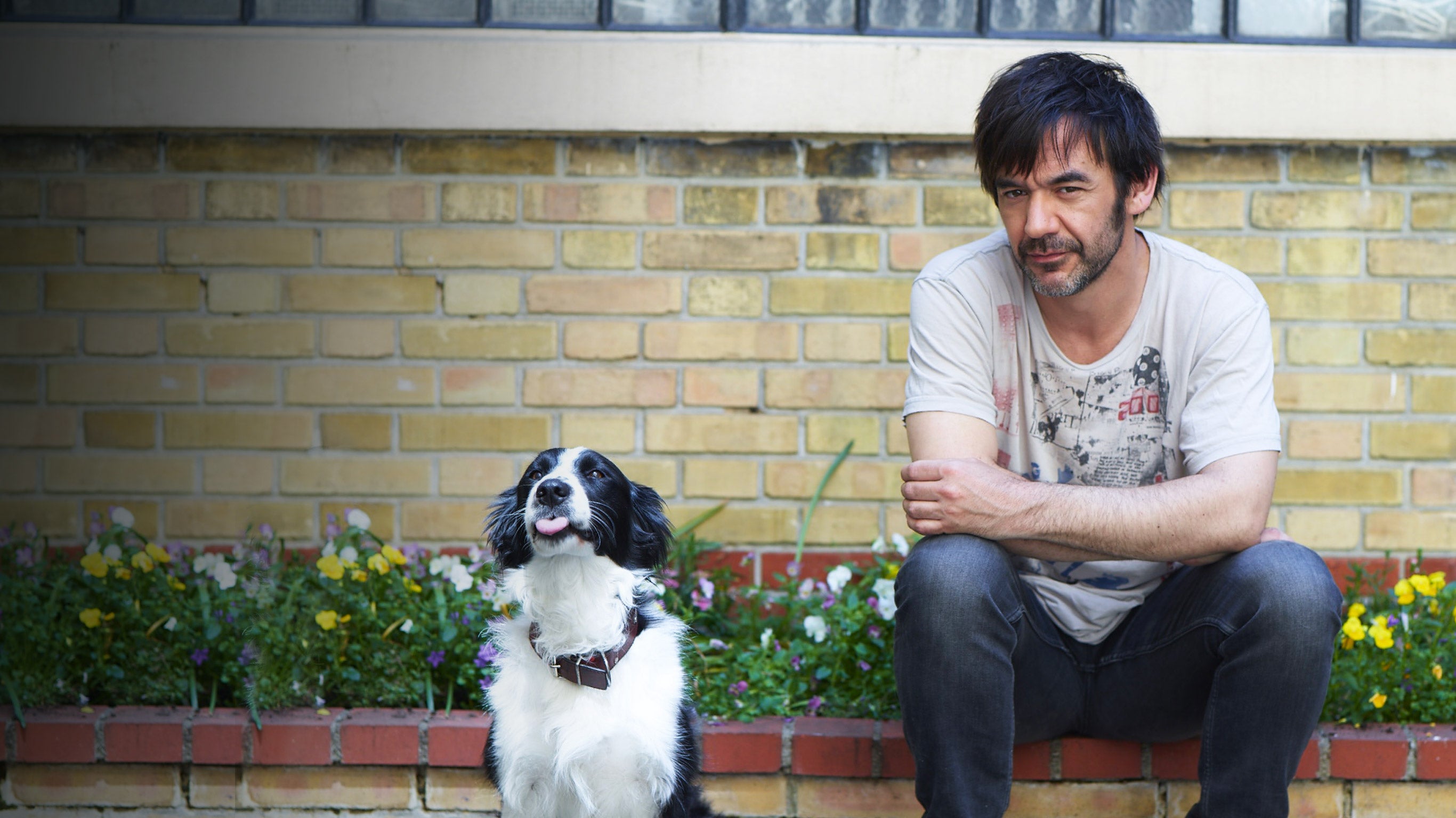 Thomas VDB : bon chienchien