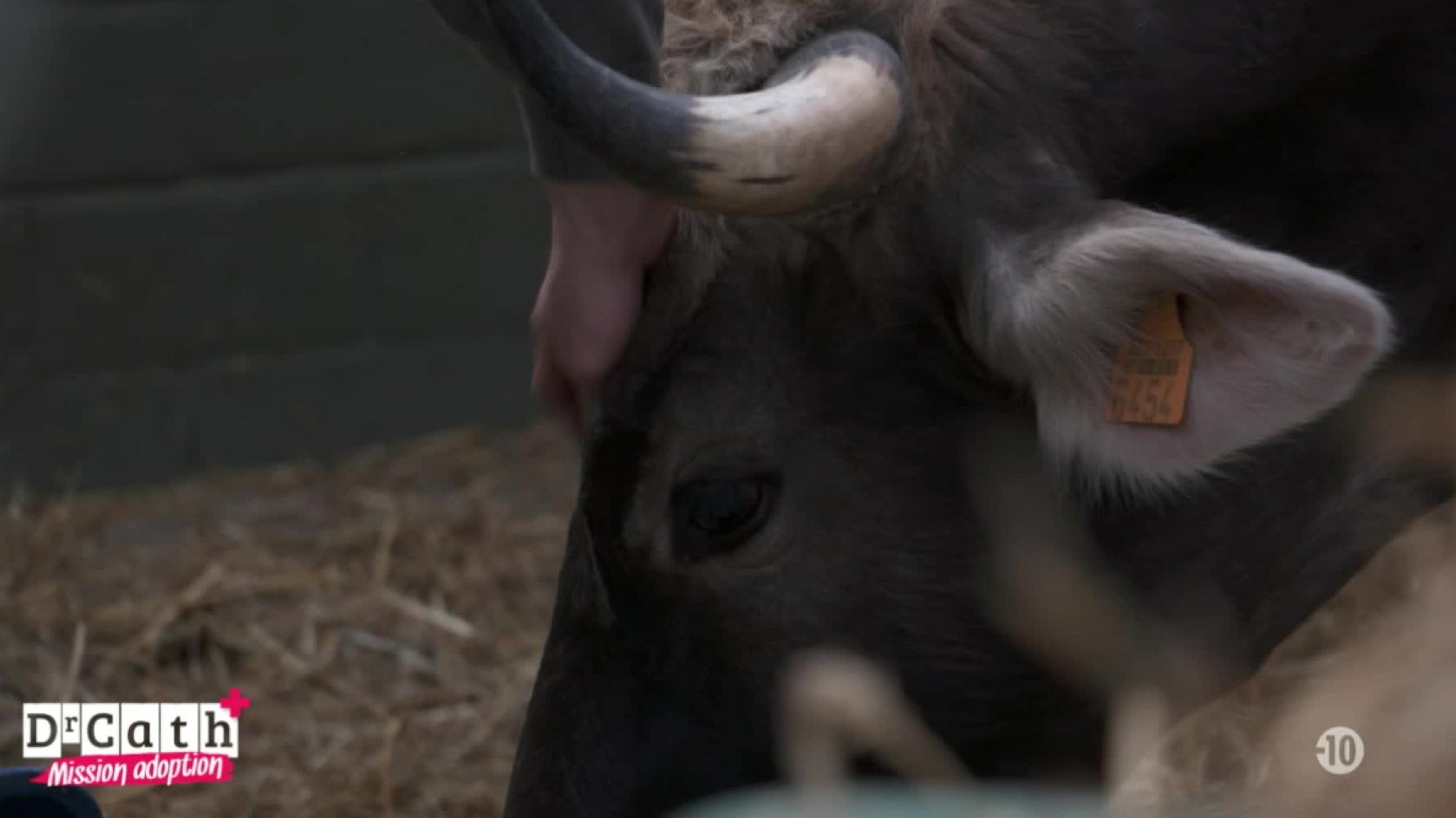 S1 E5