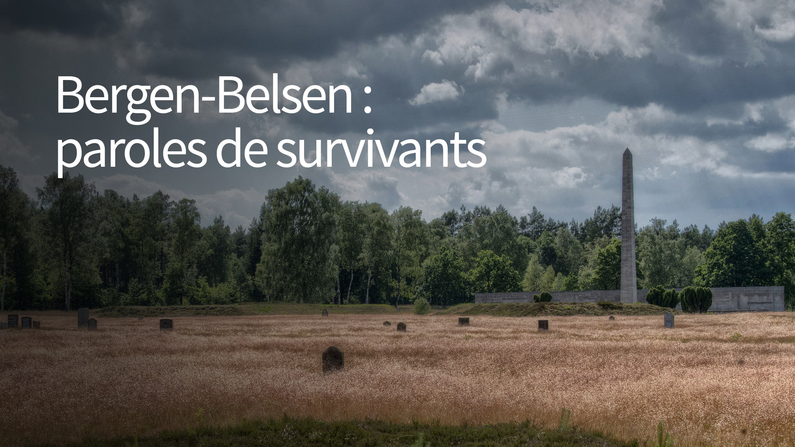 Bergen-Belsen : paroles de survivants