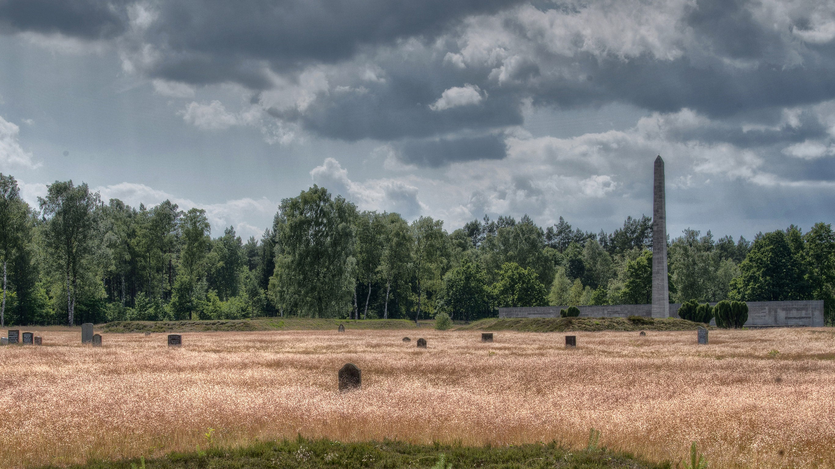 Bergen-Belsen : paroles de survivants