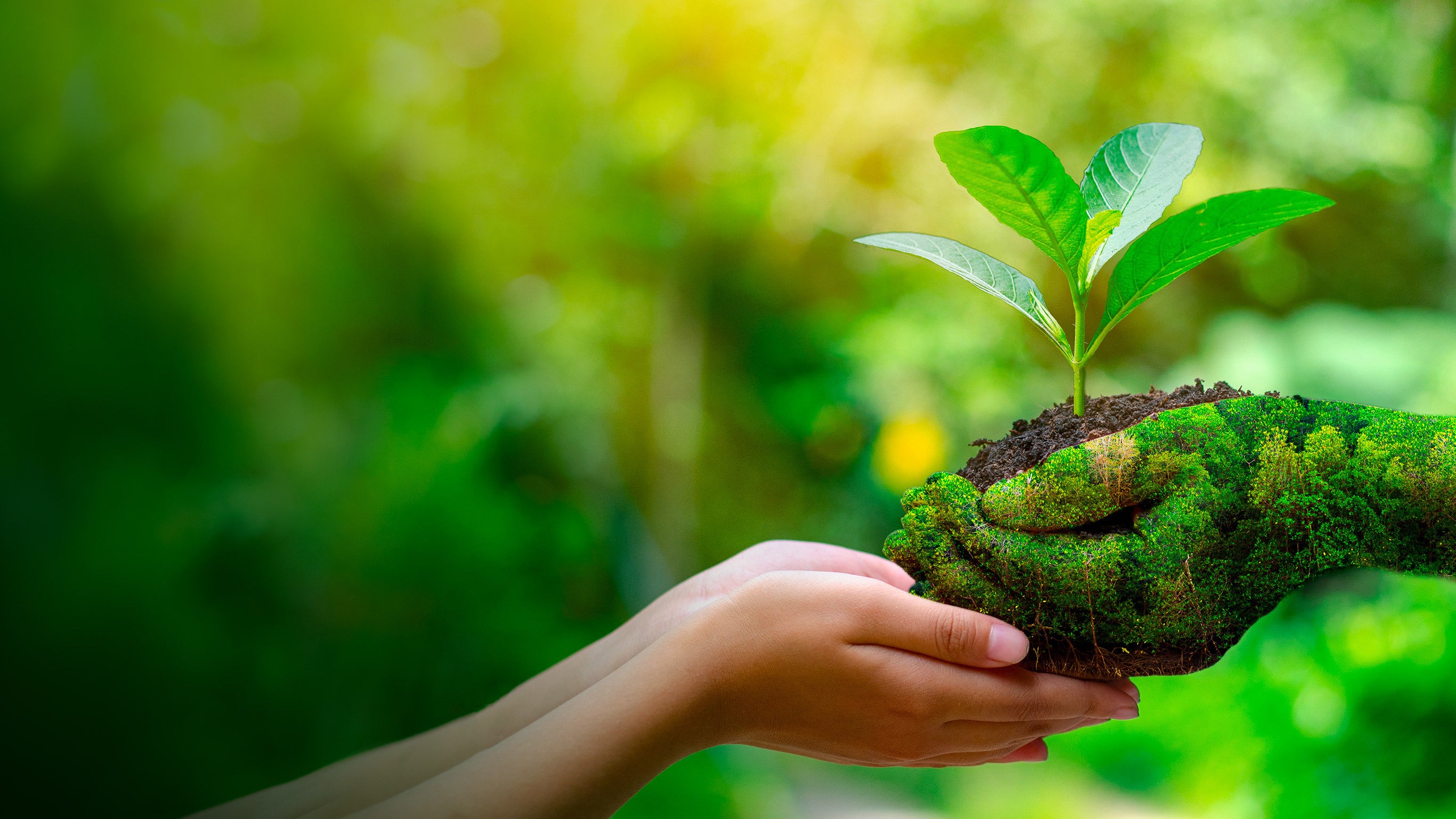 Les porteurs d'espoir