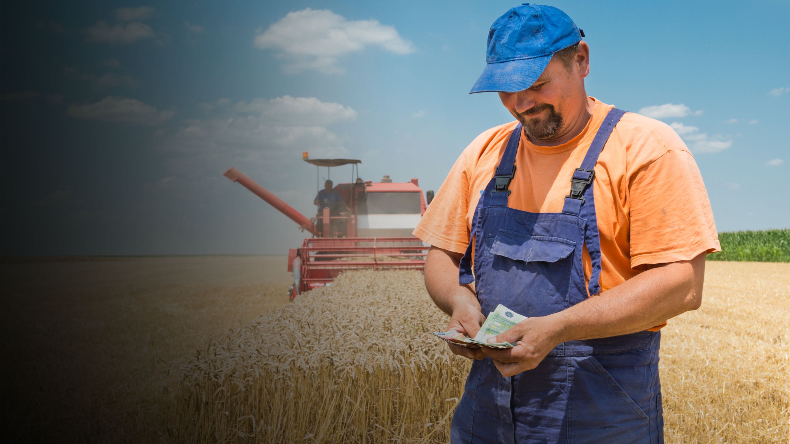 Petits revenus ou grosses fortunes : combien gagnent vraiment nos agriculteurs ?