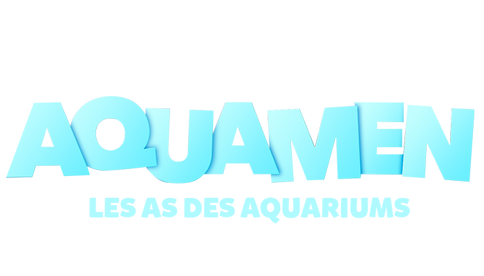 Aquamen : les as des aquariums