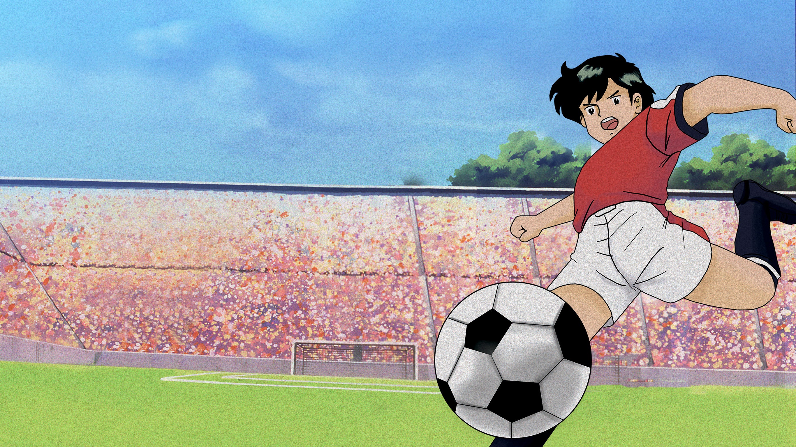 L'école des champions