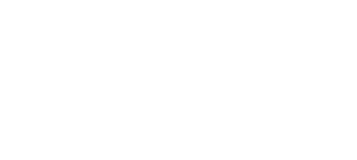 La faute