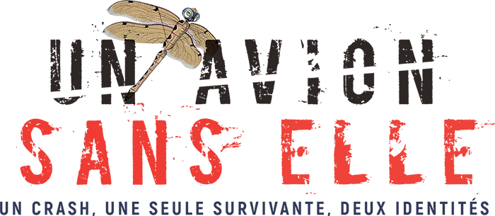 Un avion sans elle