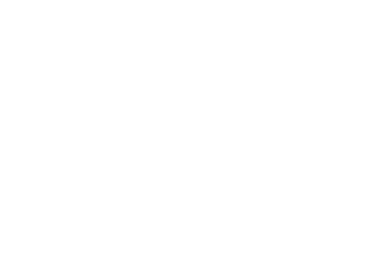 Détruire Paris, les plans secrets d'Hitler