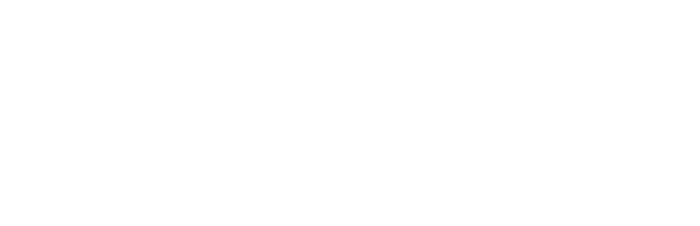 Obama : building the dream