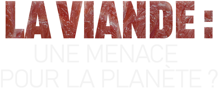 La viande : une menace pour la planète ?