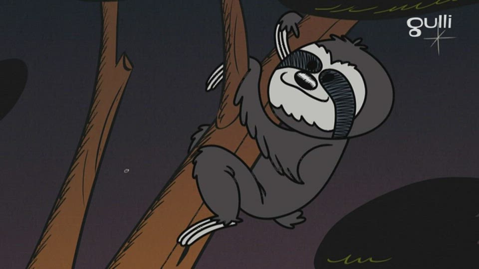 Une nuit au zoo
