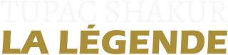 Program - logo - 20593