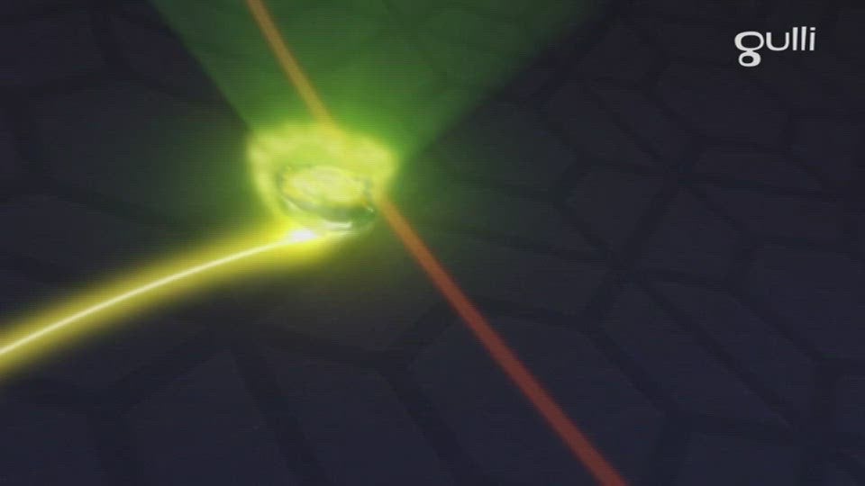 Combats en duo et équipes de rêves