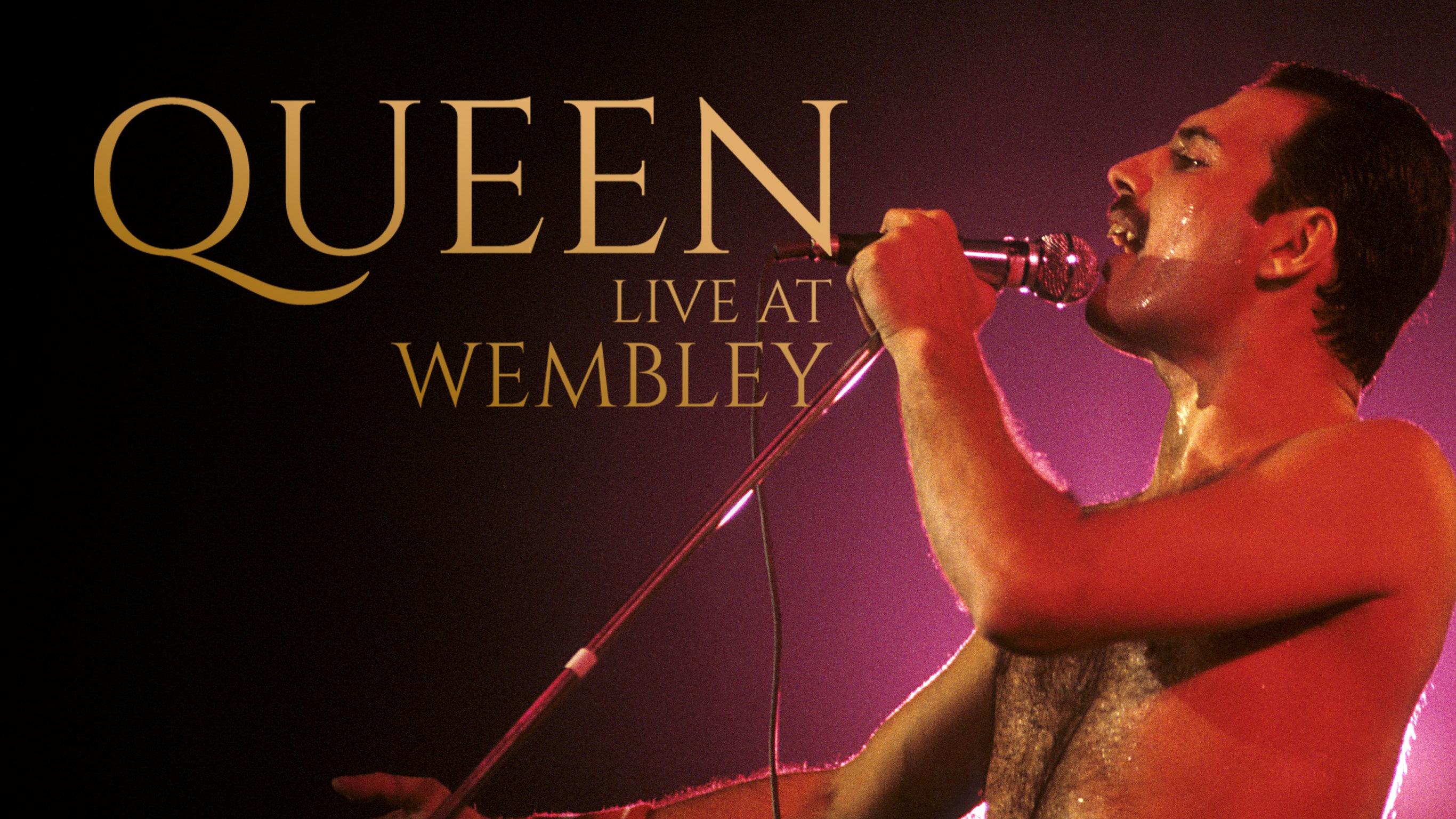 Queen live at Wembley sur M6+ voir les épisodes en streaming