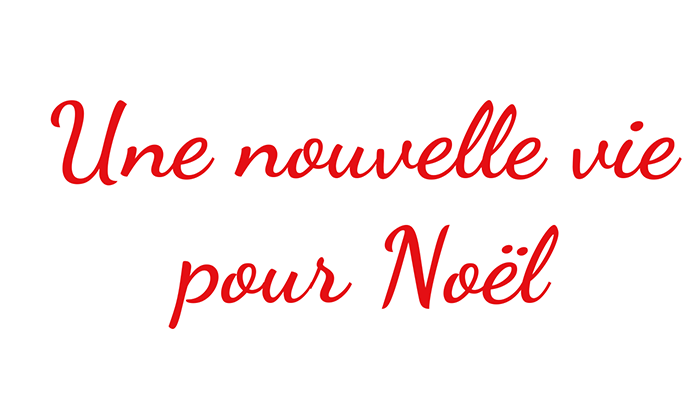 Une nouvelle vie pour Noël