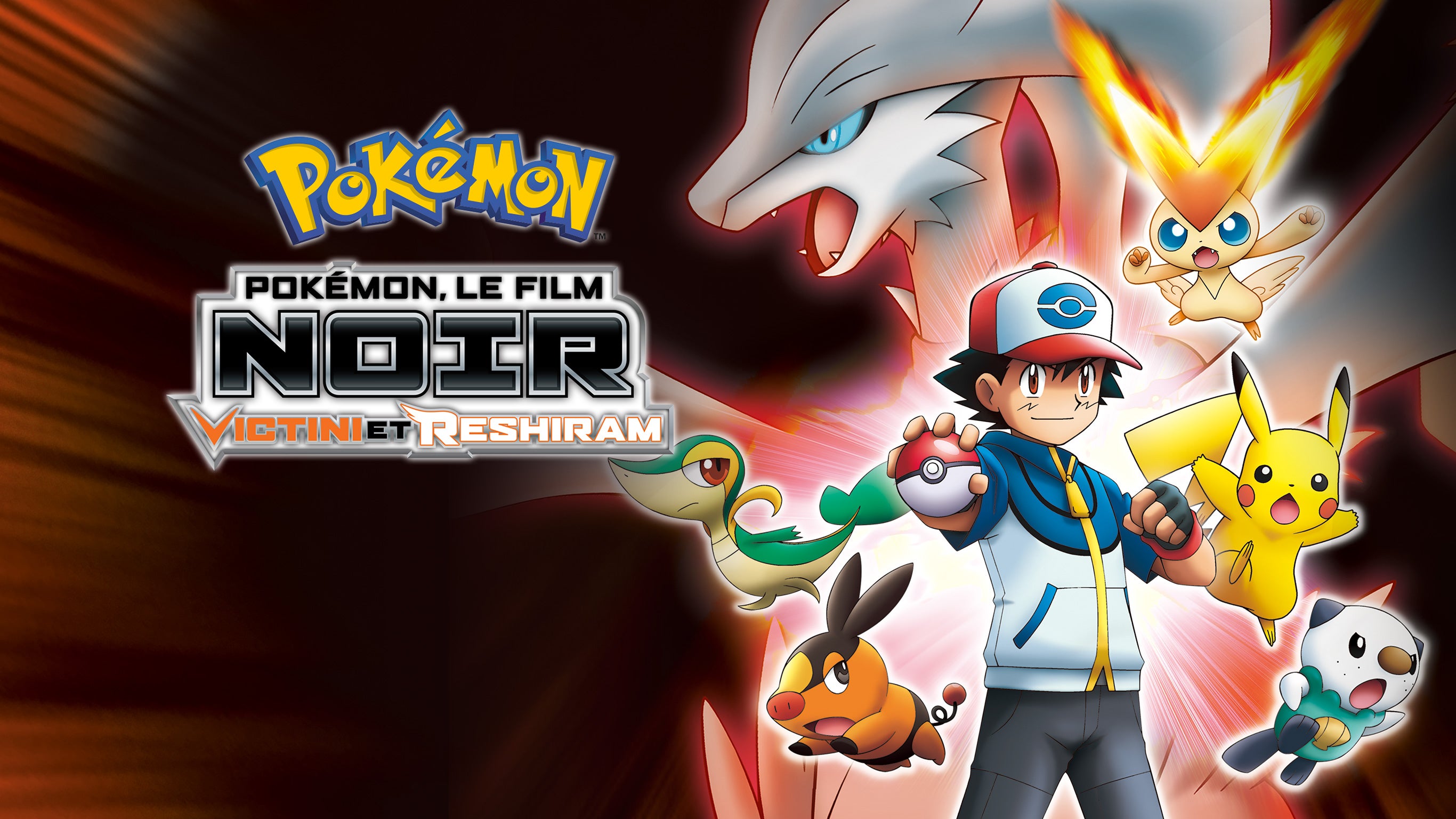 Pokémon le film 14 : Noir - Victini et Reshiram