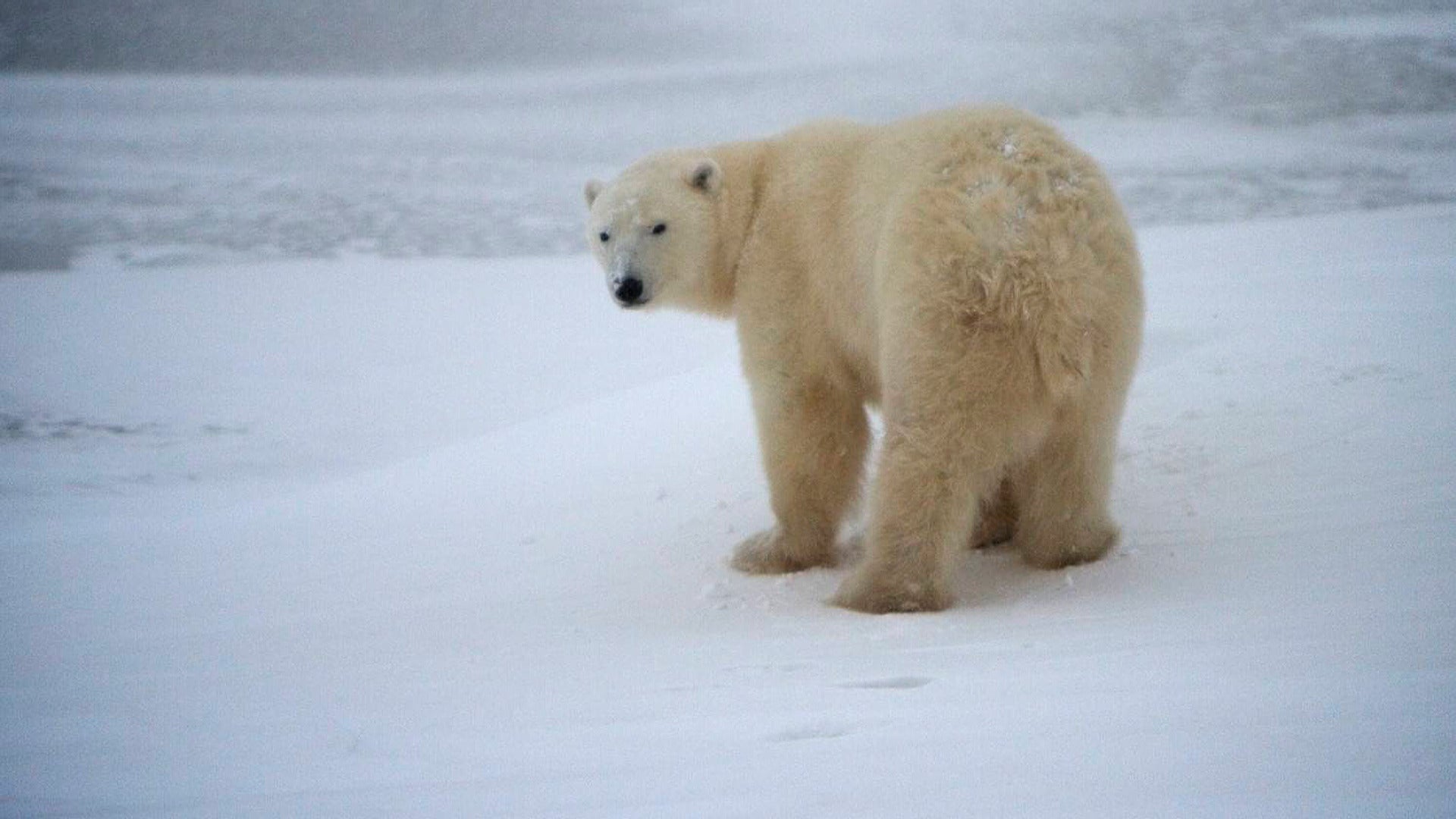 Enquête exclusive grand format