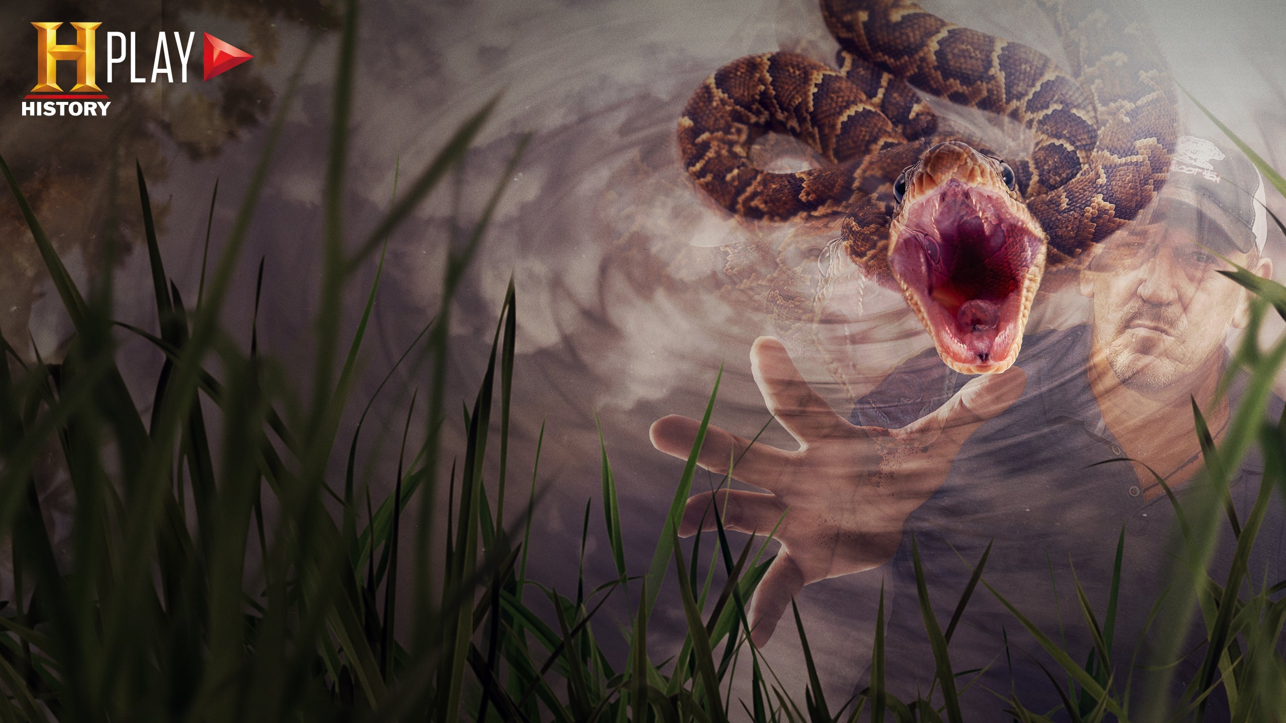 Mocsárlakók: kígyók inváziója