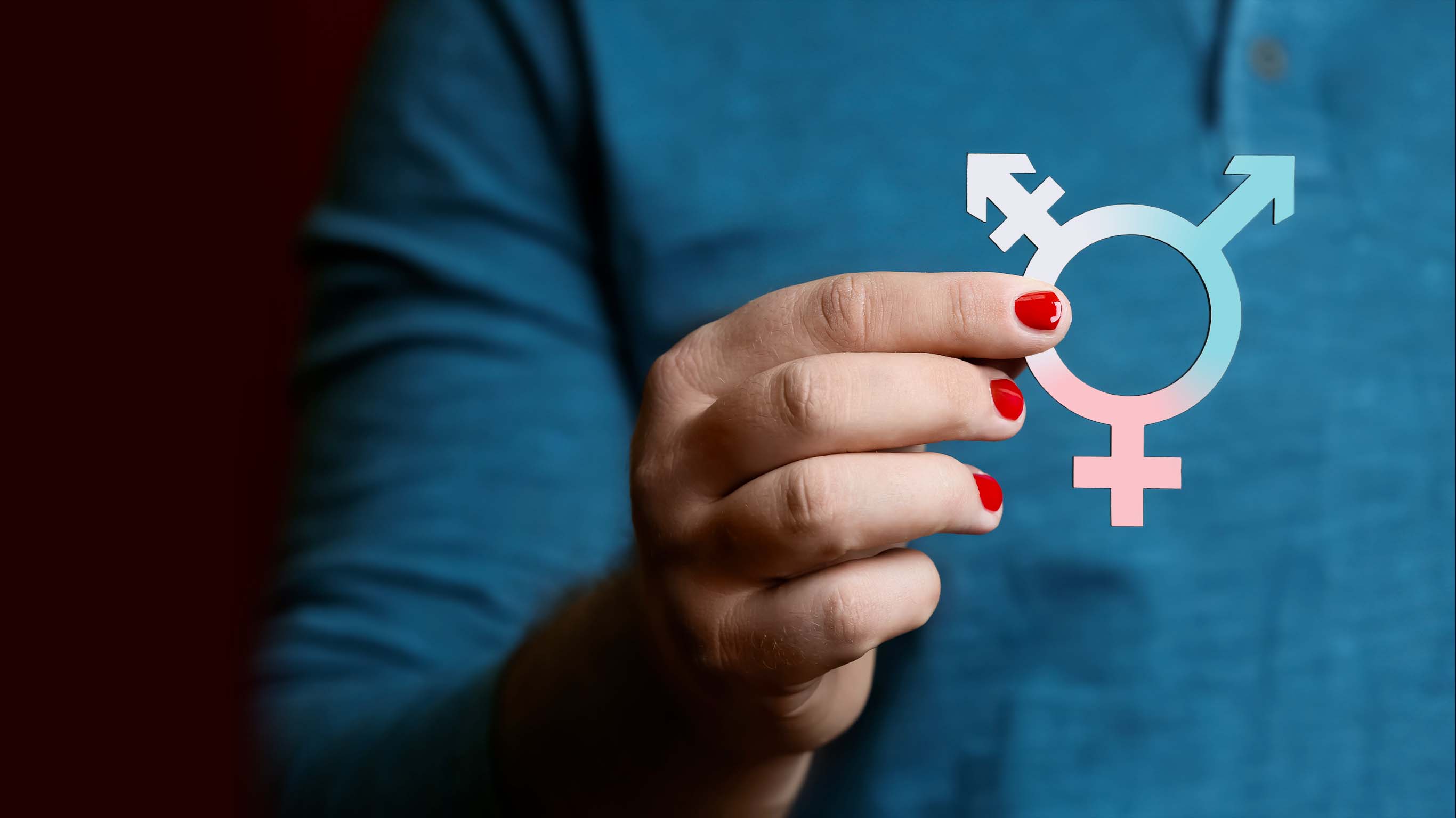 En transition de genre