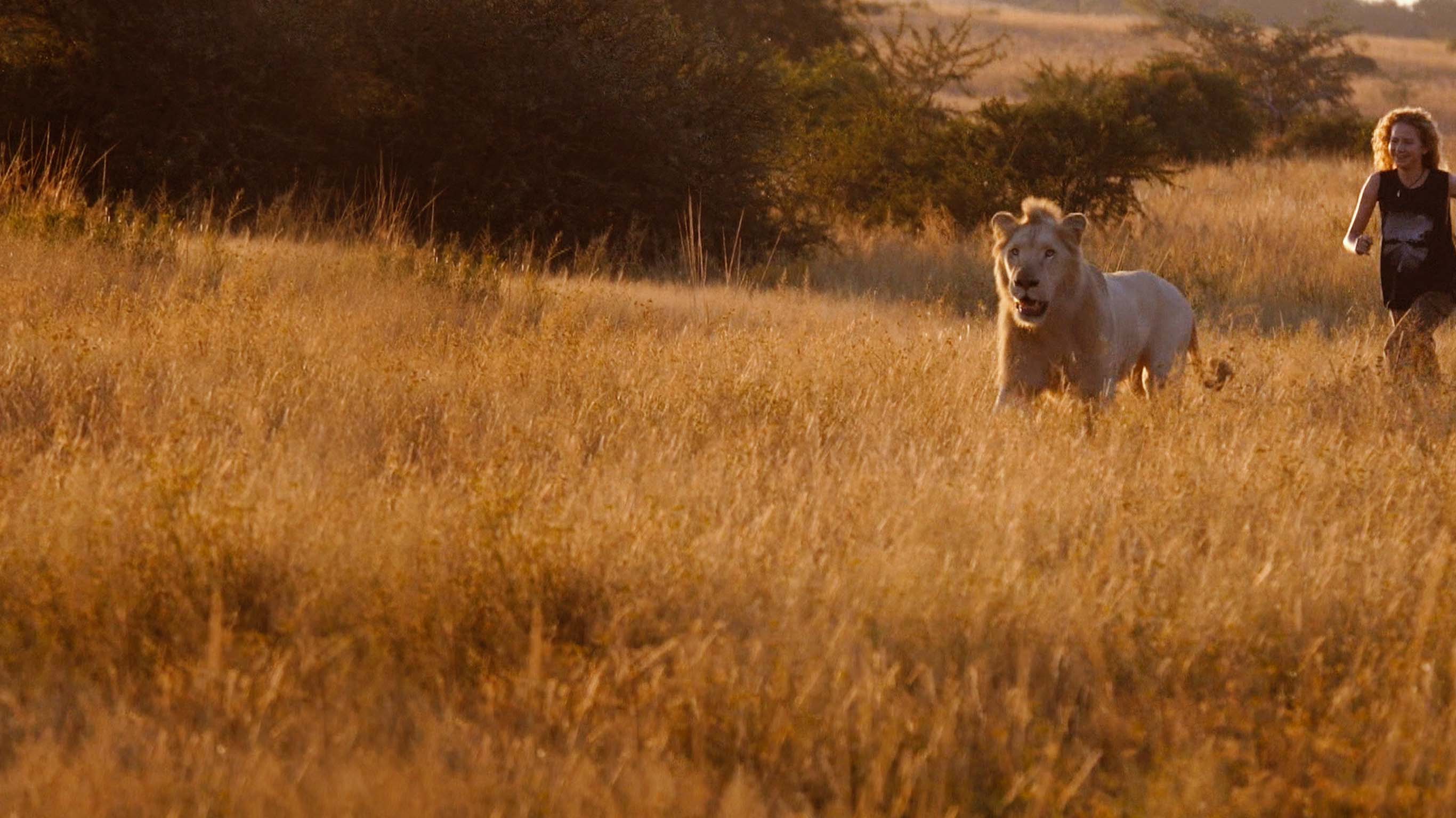 Dans le secret des animaux : la fille qui murmurait à l'oreille des lions