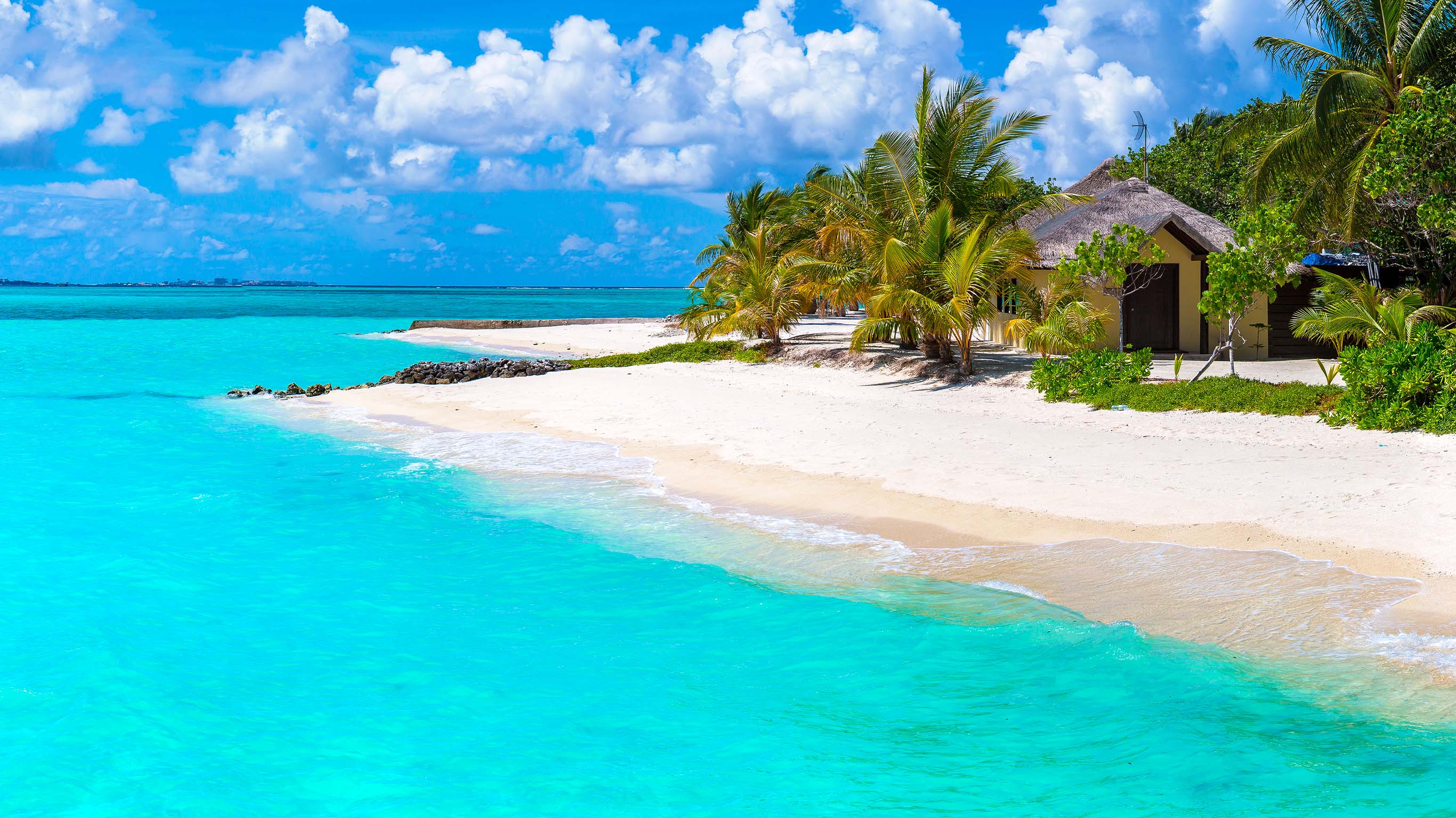 Vivre sur une île de rêve, des Français tentent l'aventure au soleil