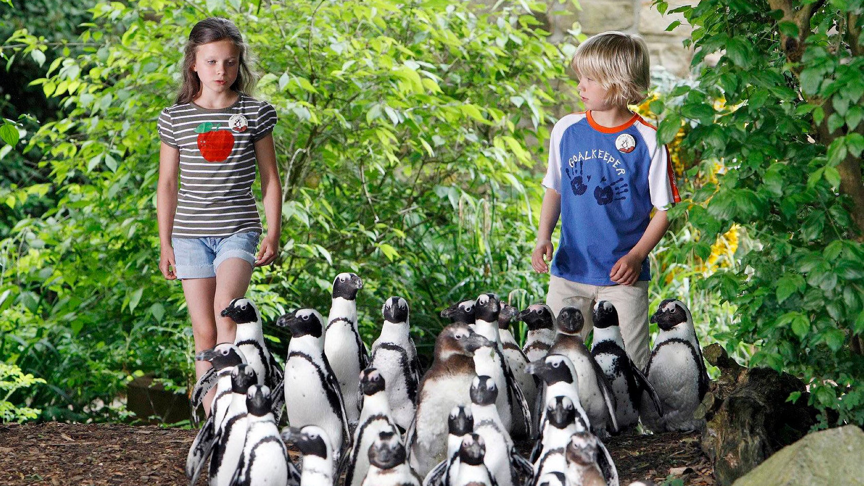Un zoo à sauver