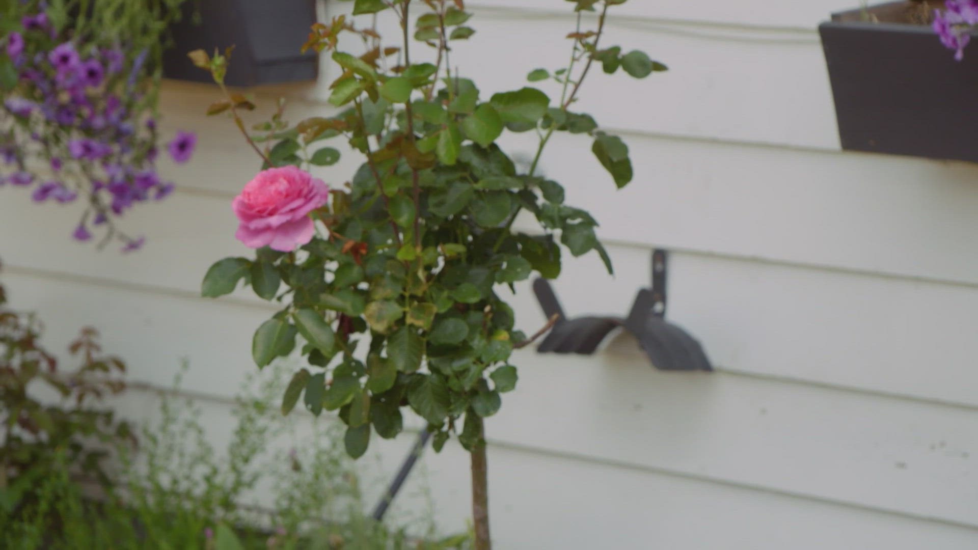 Episode 2 - Entrez à vos risques et périls !