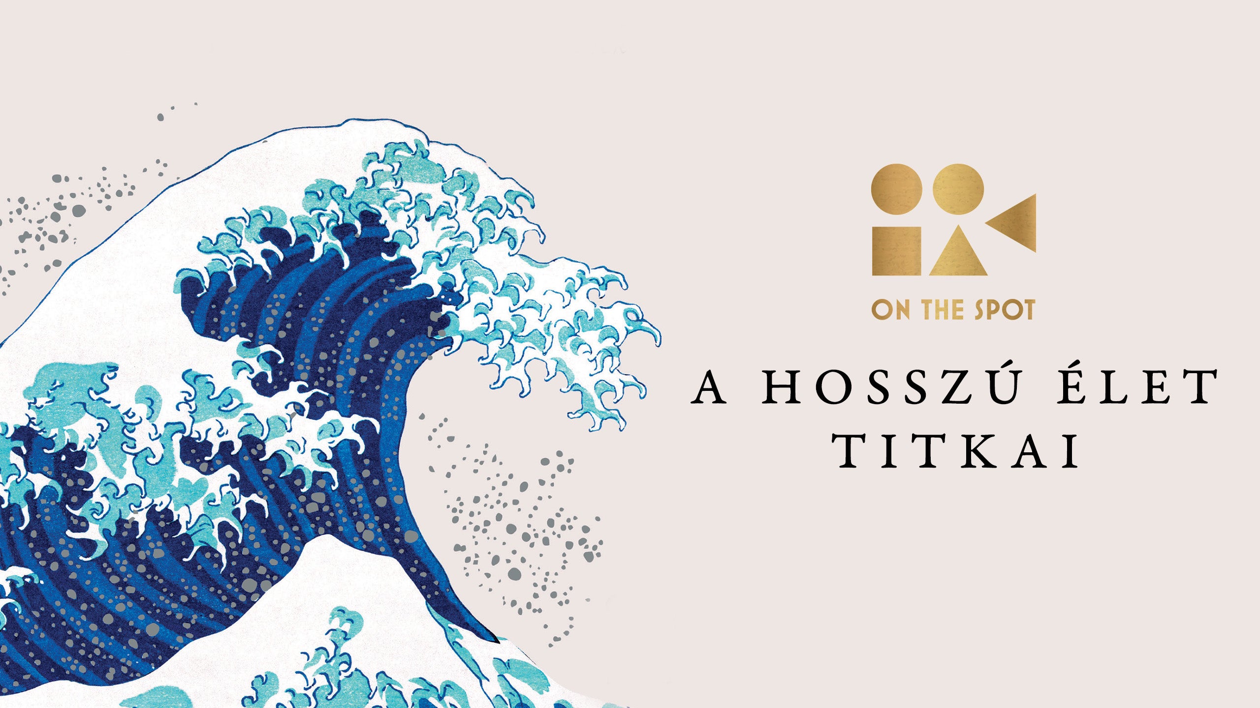 On the Spot: A hosszú élet titkai