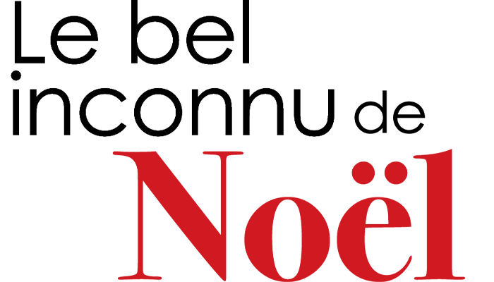 Le bel inconnu de Noël