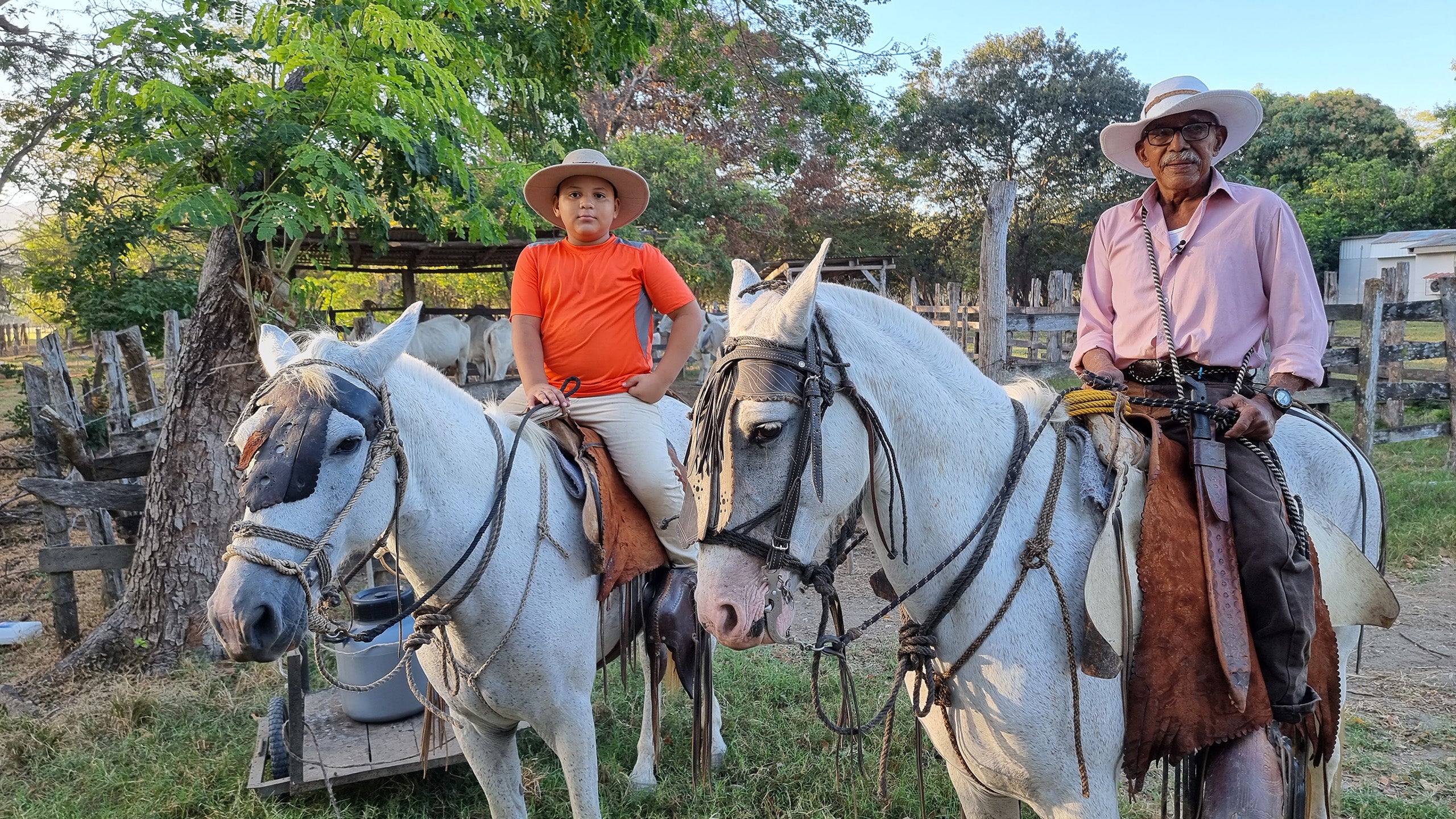 2. rész - Szardínia