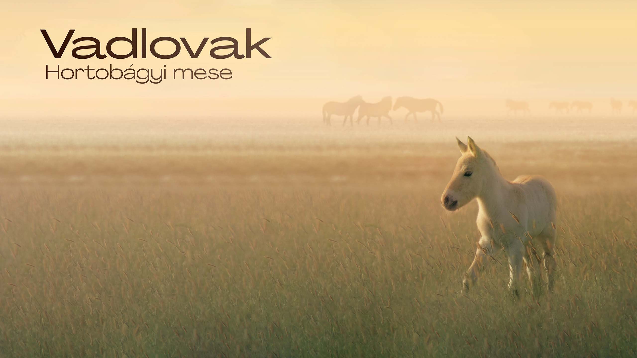 Vadlovak - Hortobágyi mese