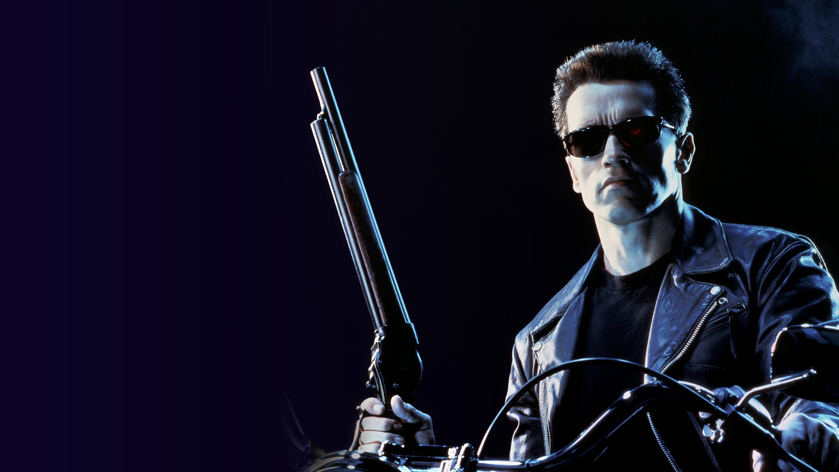 La fabrique d'Arnold Schwarzenegger