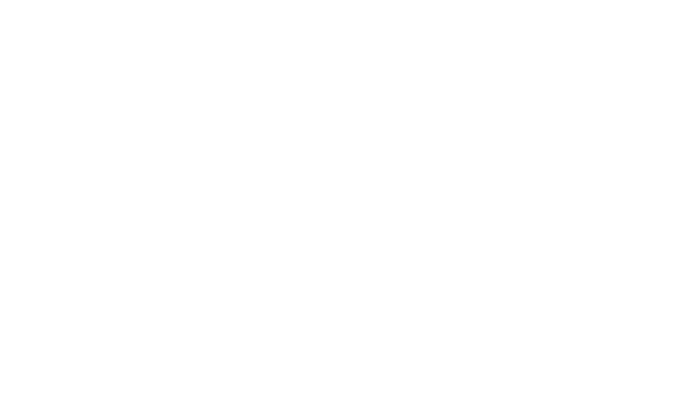 Le 30ᵉ Anniversaire de Disneyland® Paris