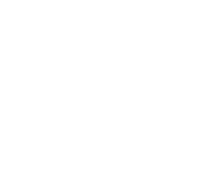 What would Diplo do ?