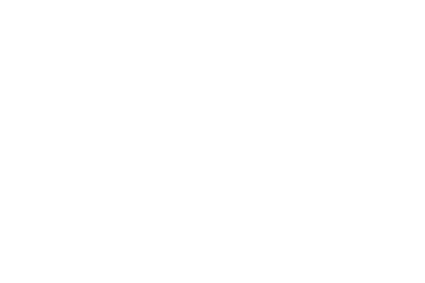 La princesse de Noël