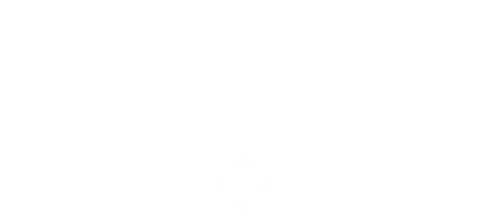 Sous les lumières de Noël