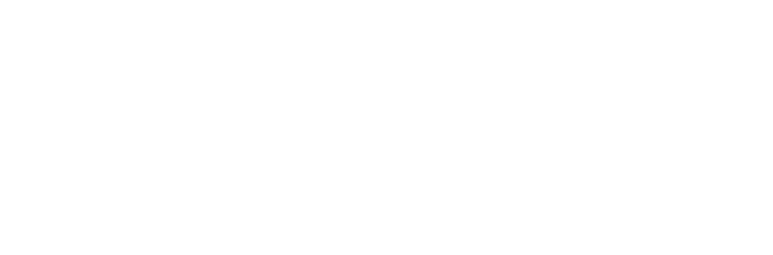 Le fabuleux Bal des neiges
