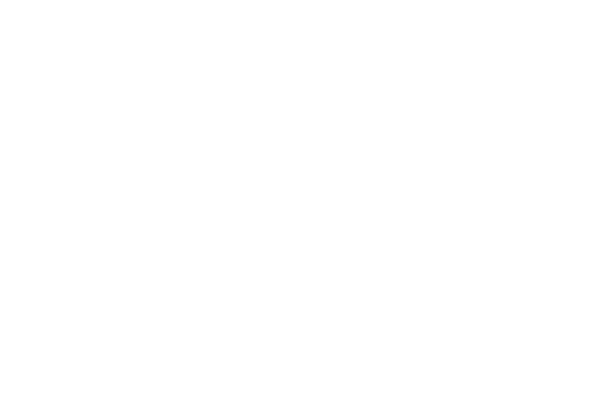 L'idylle de Noël