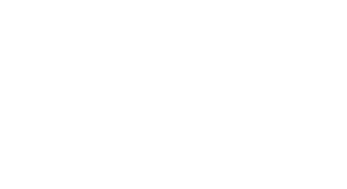 Maigret tend un piège