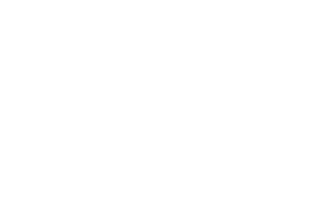 Quelques jours à Noël